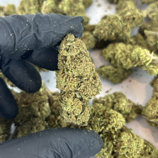 cbd-indoor-blueberry-bis