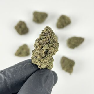 bruce-banner-indoor
