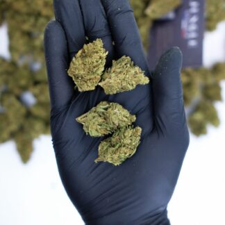 cbd-indoor-cannatonic-haze
