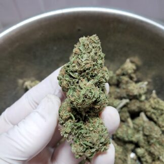 cbd-girl-scoot-cookies
