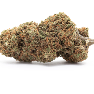 cbd indoor orange bud