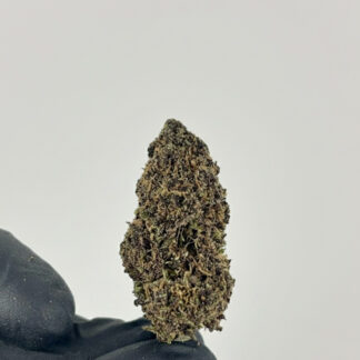 cbd-indoor-purple-haze