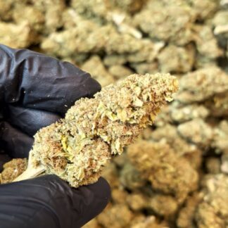 cbd greenhouse RNA Runtz