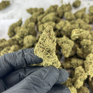tangie-dream