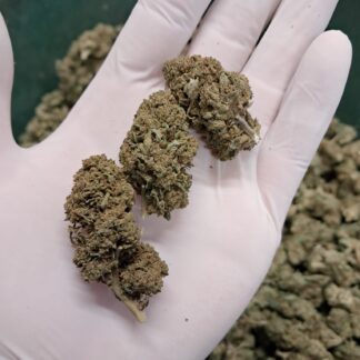 cbd-indoor-wedding-cake