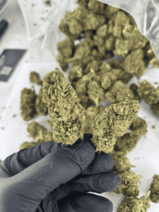 cbd-indoor-ak47